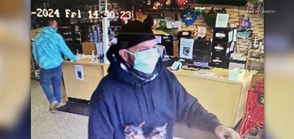 Puppies Stolen From A Colorado Store; Have You Seen Them?