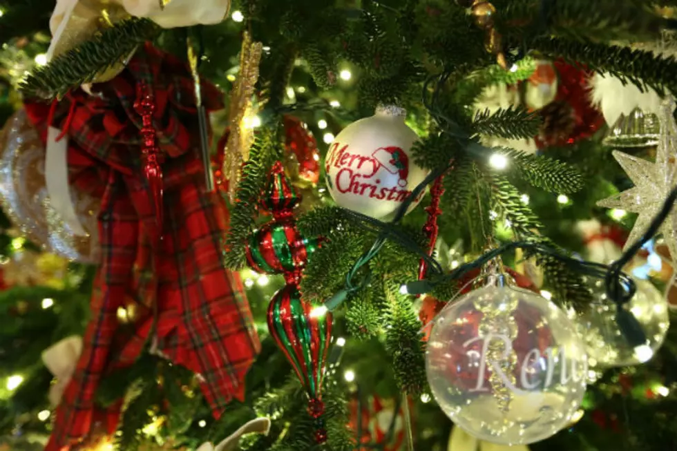 After Two Years, Festival of Trees is Returning to Waterville