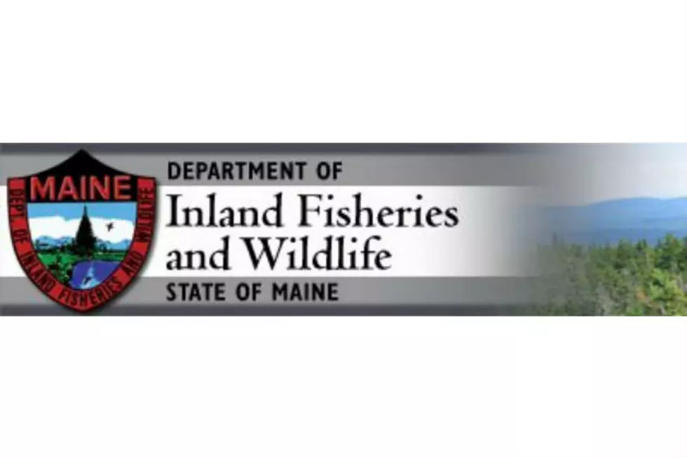 Maine Warden Service Responds To ‘North Woods Lawless’ Allegations
