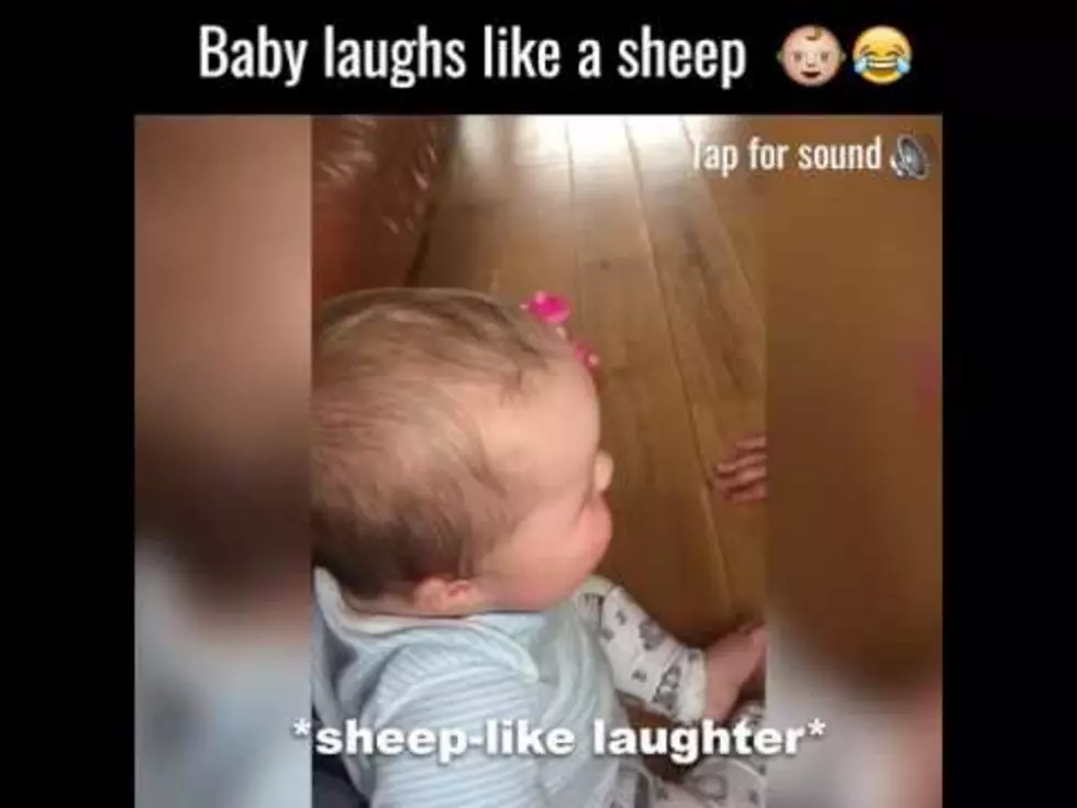 This Baby Laughing Like A Sheep Will Make Your Entire Day