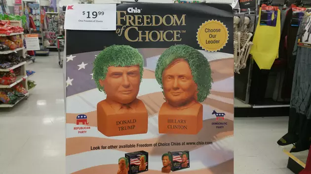 There Is Still Time To Buy Your Chia Candidate