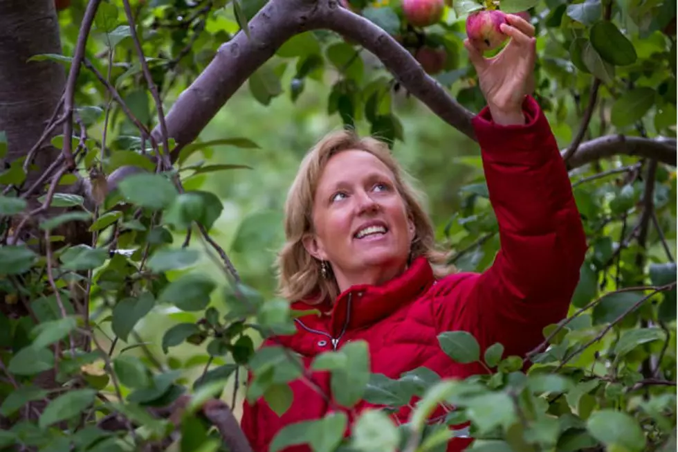 Renee Nelson Goes Apple Picking for the First Time!