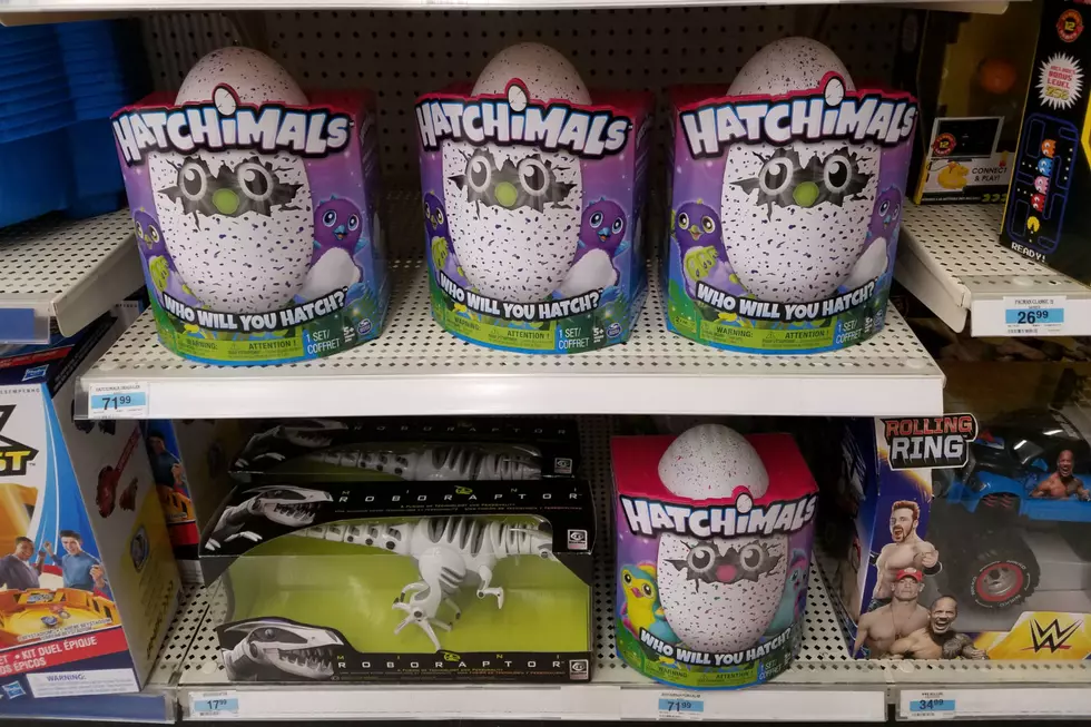 Cruel Hatchimal Prank You Can Pull On Your Kids