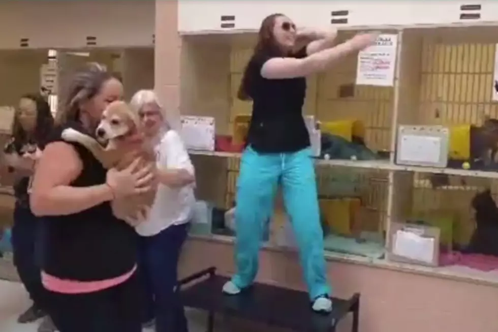 Kennebec Valley Humane Society Celebrates Over 100 Saved Lives [VIDEO]