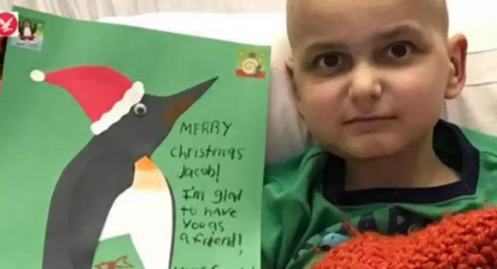 9 Year Old Maine Boy Battling Cancer Asks For Christmas Cards – Here’s How You Can Send Him A Card