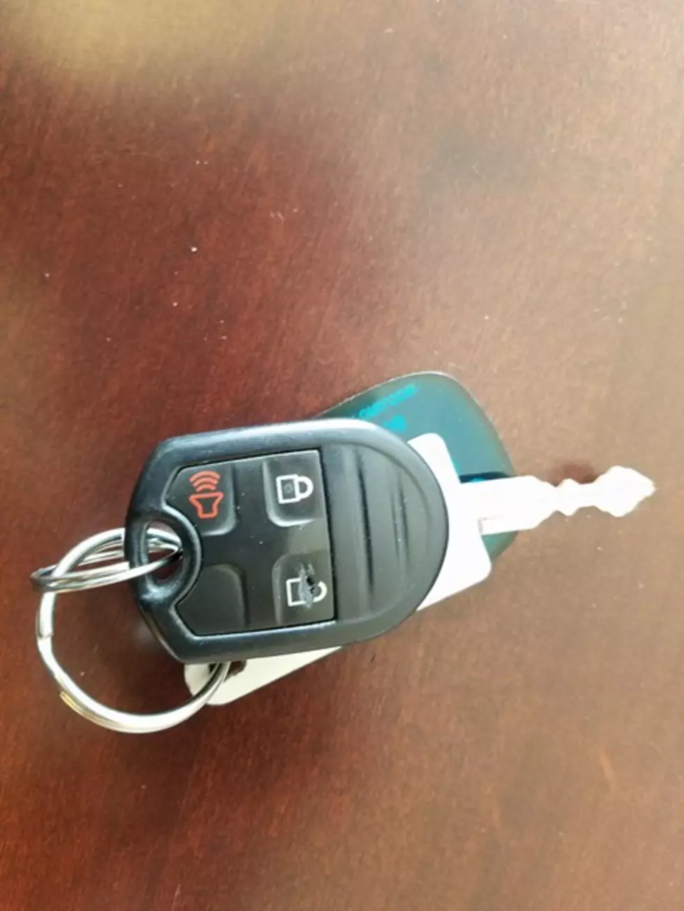 Cooper Needs Your Help With His Key Fob