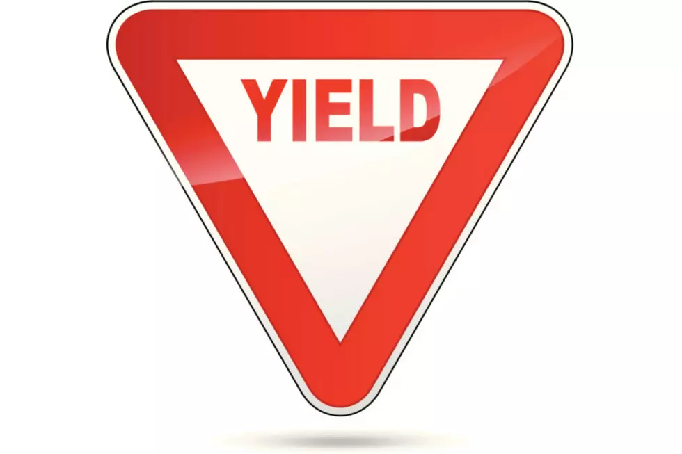 Hey Bonehead, The Yield Sign is Not a Suggestion