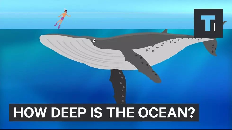 Video Shows Just HOW Deep Our Oceans Are. Seven Miles?!
