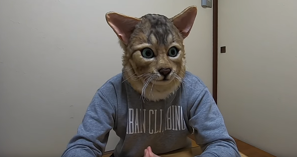Now You Can Look Like Your Cat!