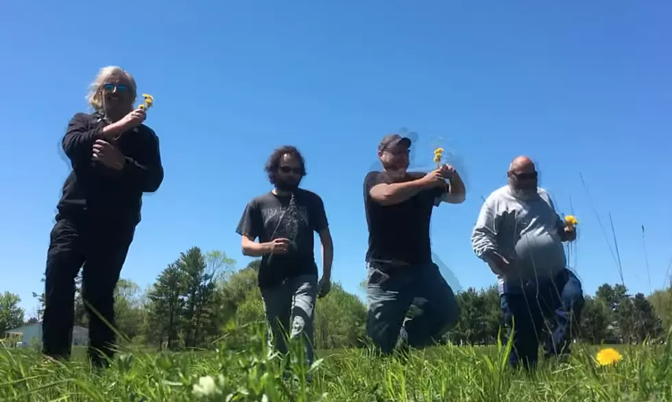Maine Music Video: Check Me For Ticks!