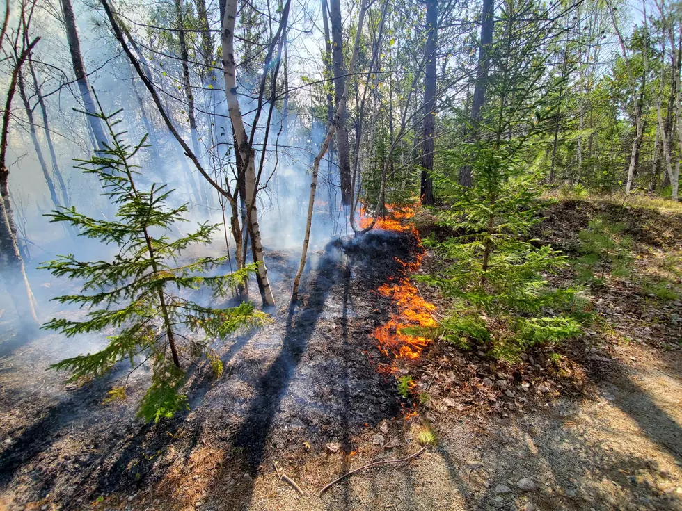 Forest Fires Burn in Northern Maine’s Baxter State Park