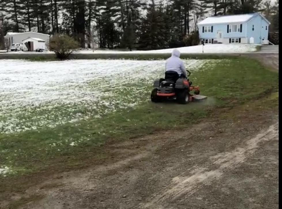 Video Shows True Mainer Mowing Lawn in Yesterday's Snowstorm