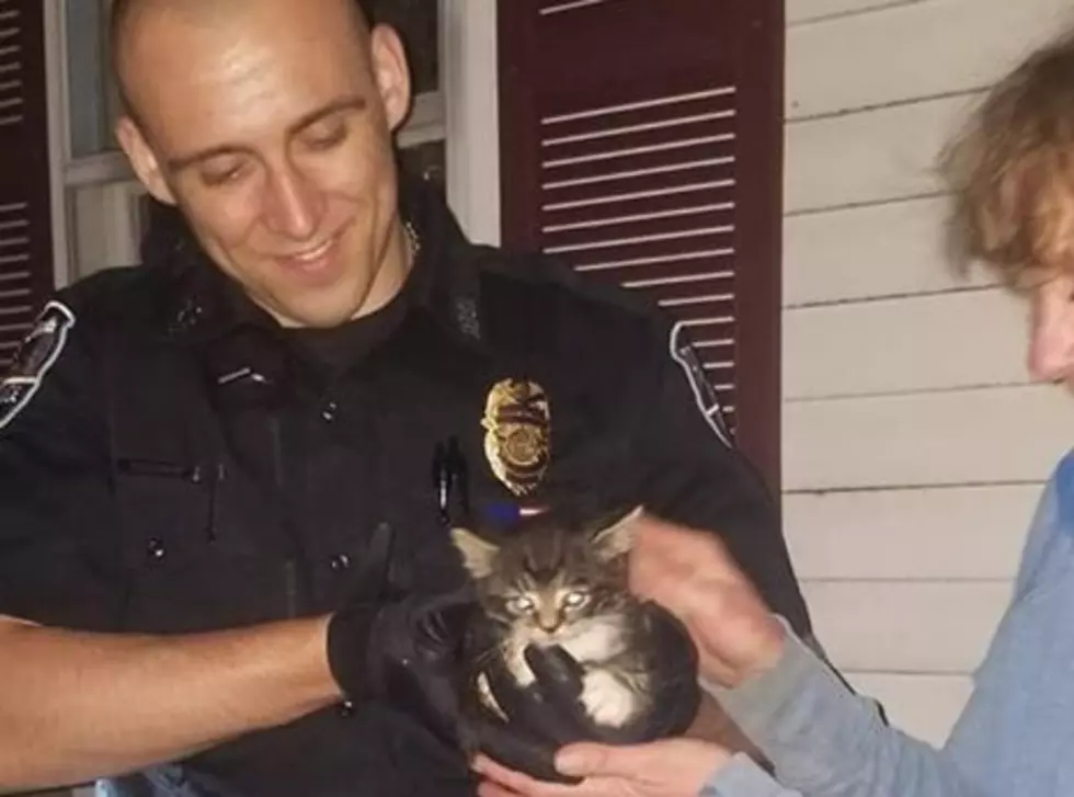 Maine Police Officers Rescue Kitten Trapped in Sewer Pipe