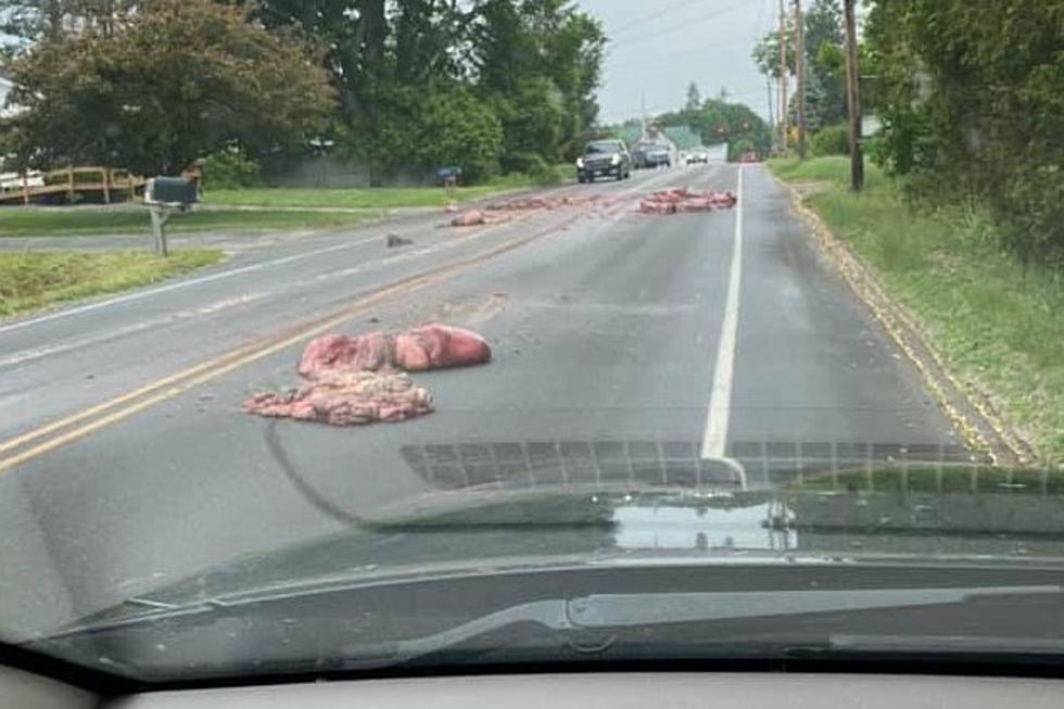 Remember When That Truck Spilled Animal Remains On a Benton Road?