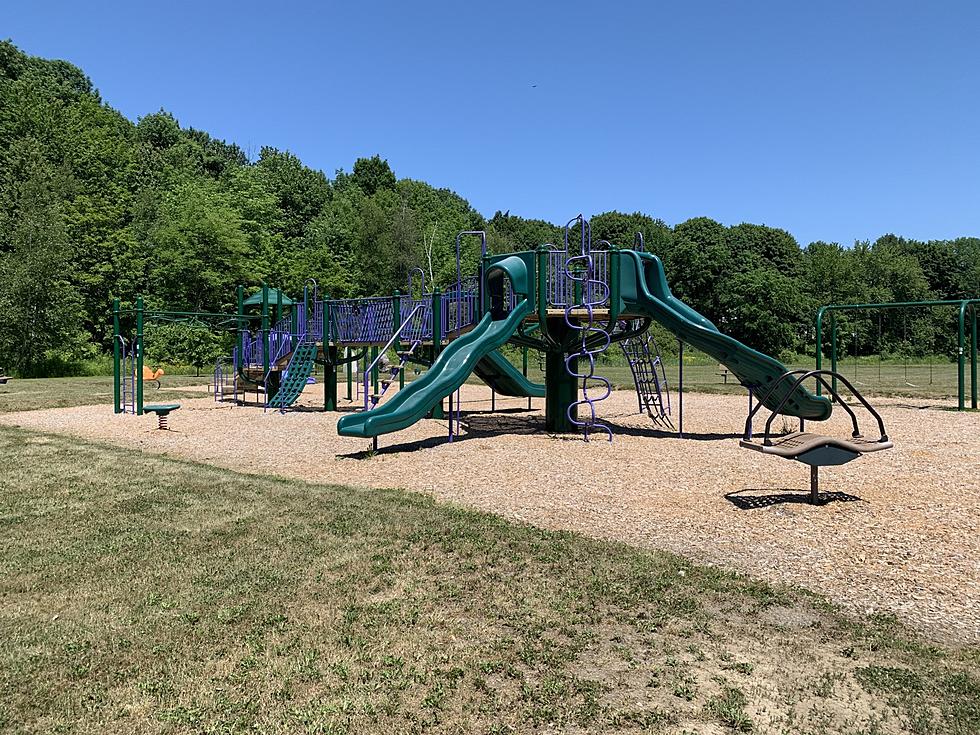 Vaughan Field Playground is Open for Kiddos (This is not the woods)