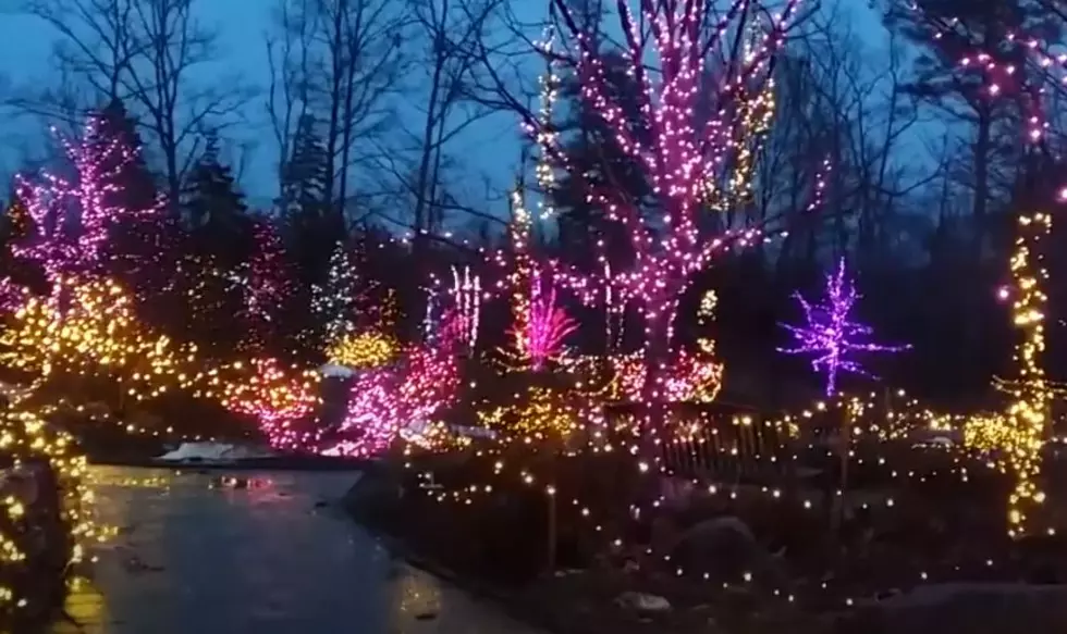 Gardens Aglow Will Be A Drive-Thru Event This Year