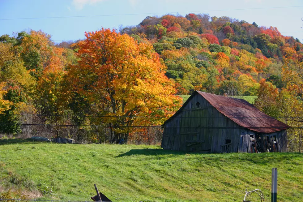 Fall Foliage: Where Is The Color This Weekend?