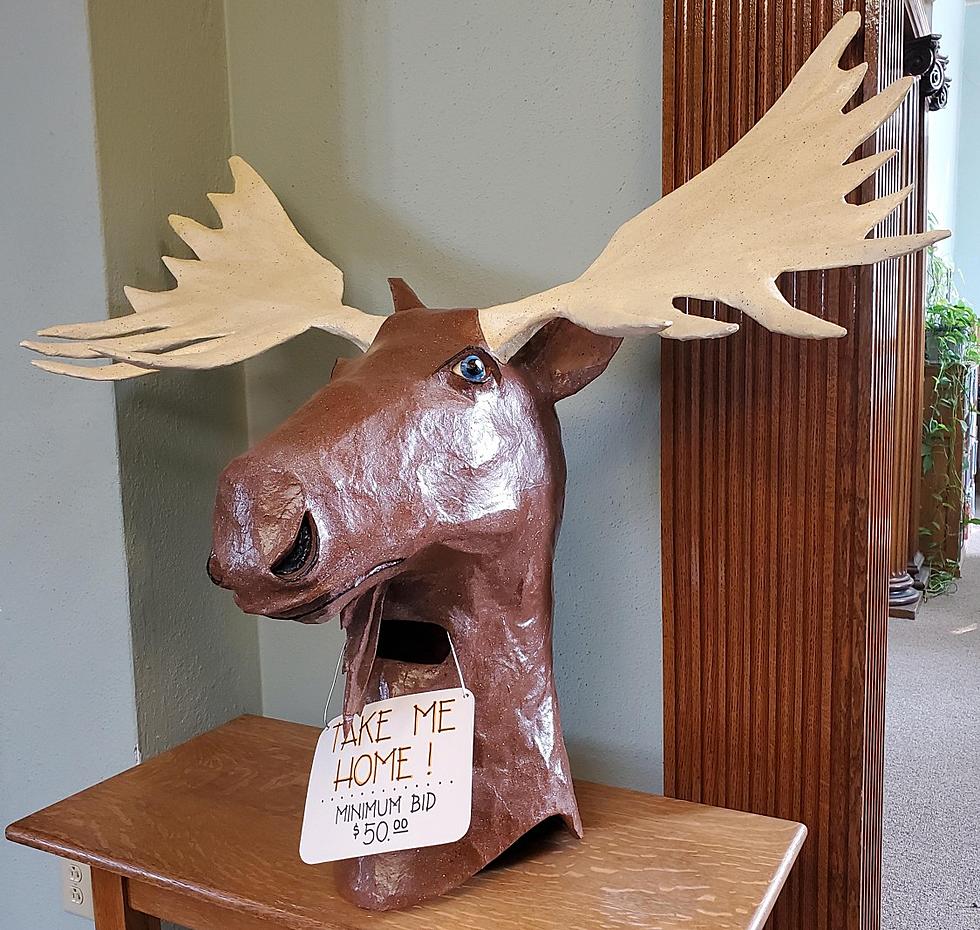 You Could Be The Proud Owner of This Totally Wearable Maine Moose Head