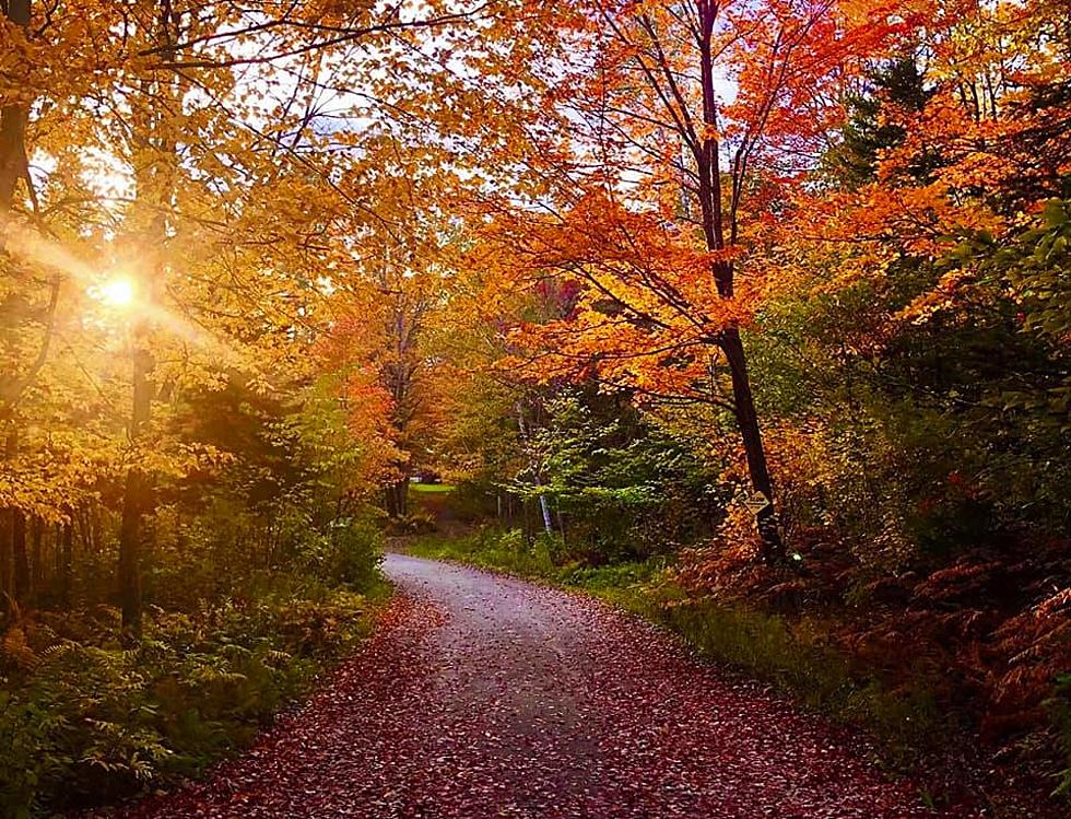 100 Absolutely Incredible Photos of Maine’s Peak Foliage, 2021