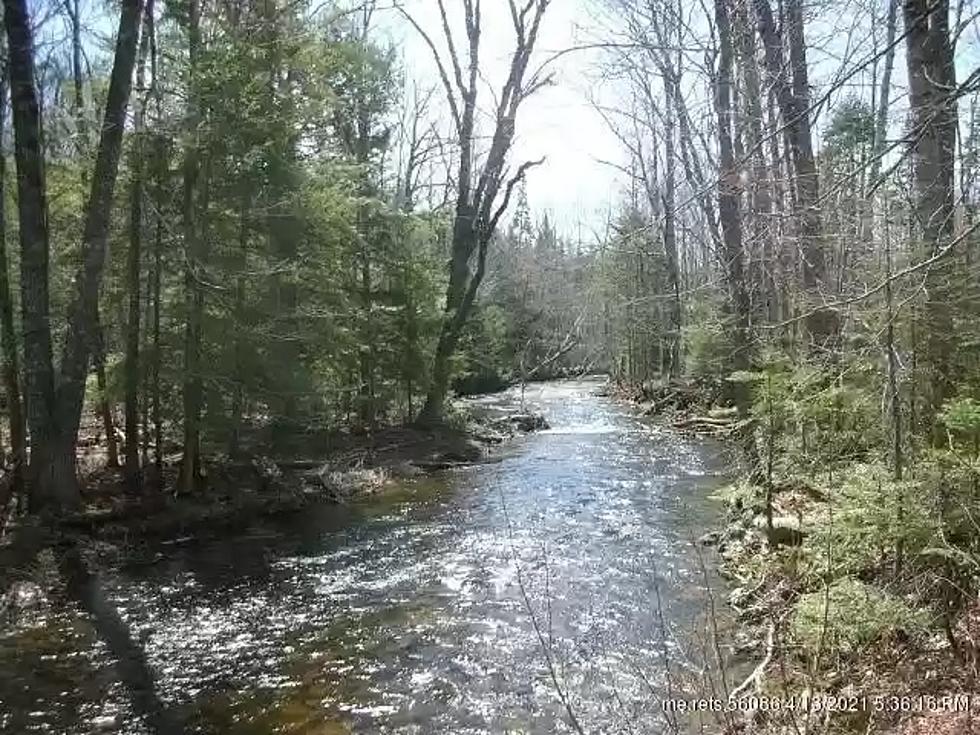 Need Land? This 2+ Acre Lot in So. China is Wooded & Has a Babbling River