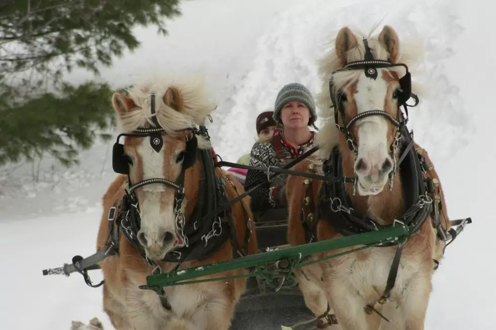 Take a Magical Winter Sleigh Ride With Your Family in Beautiful Belgrade, Maine
