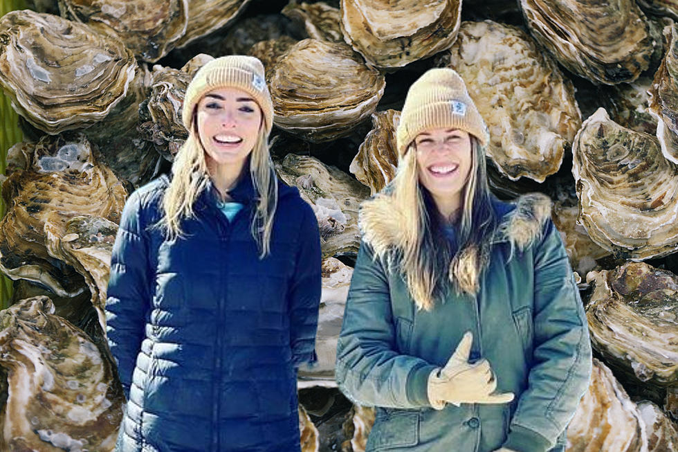 A Maine Oyster Farm is Proving that Women Can Do Anything 