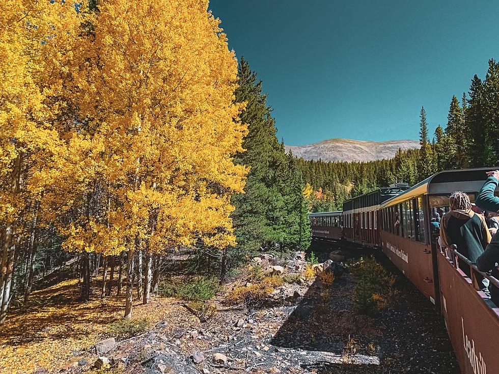 Enjoy Pizza & Whoopie Pies on This Magical Maine Train Ride