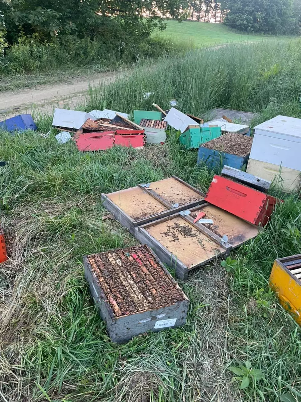 Vandals Do Thousands in Damage to Central Maine Honey Farm