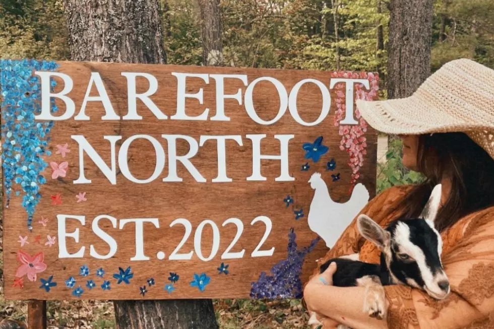 Mainer Shows Us How To Live 'Back in Nature' With Barefoot North