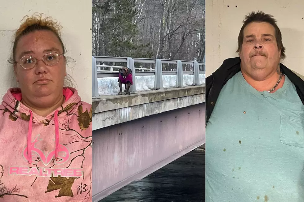State Police Charge Two With Cruelty After Abandoning Dog on Freezing Cold Bridge