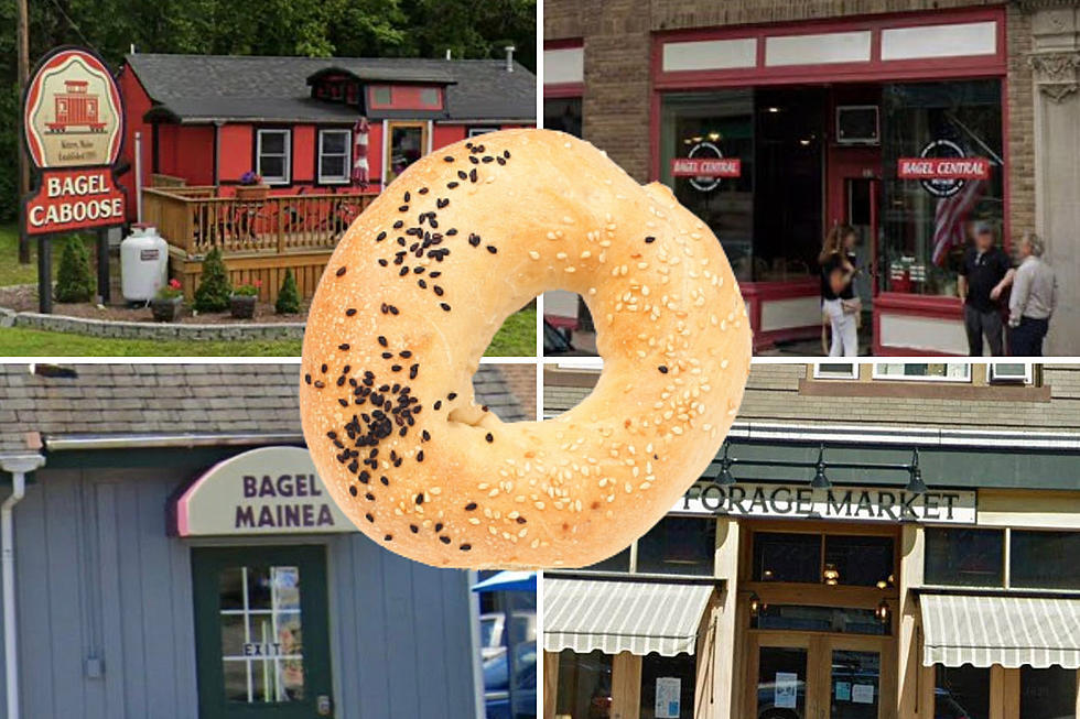 10 Maine Bagel Shops I Cannot Live Without
