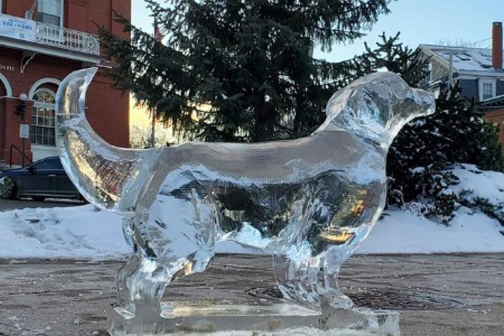 Chilling Thrills Return to Maine at the Belfast Ice Festival 