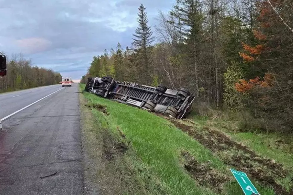 Tractor Trailer Hauling 15 Million Bees Flips Over on Maine Highway