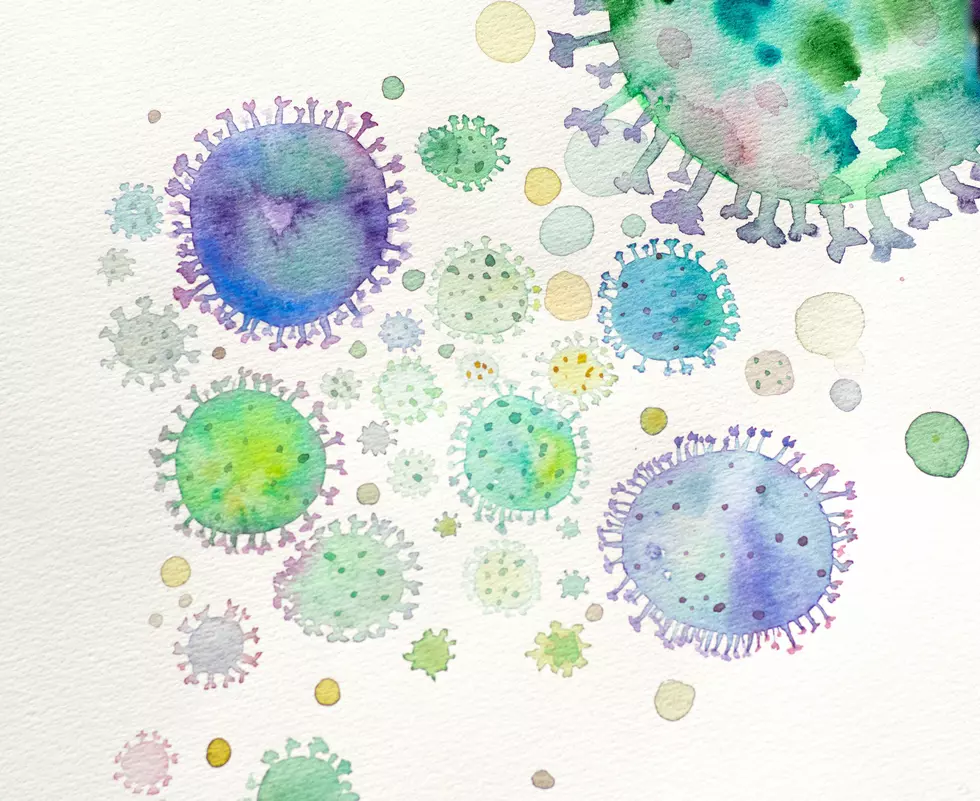 Giardia Infections Reported at New Hampshire Spring