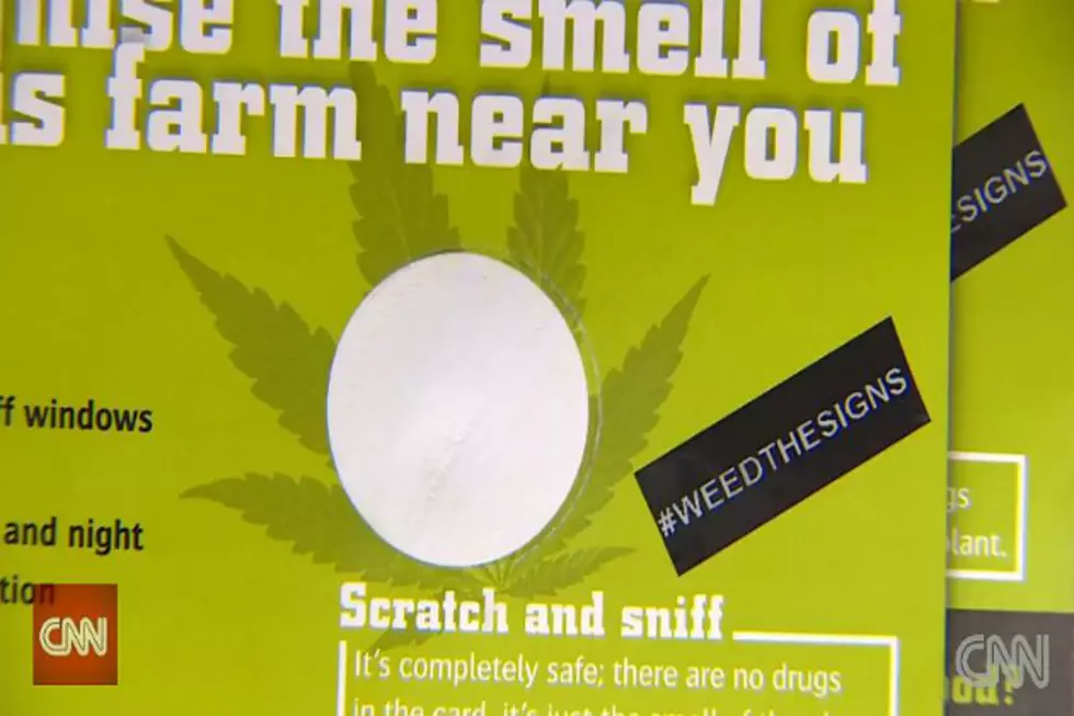 ‘Scratch & Sniff’ Cannabis Cards in London to Curb Growing Problem