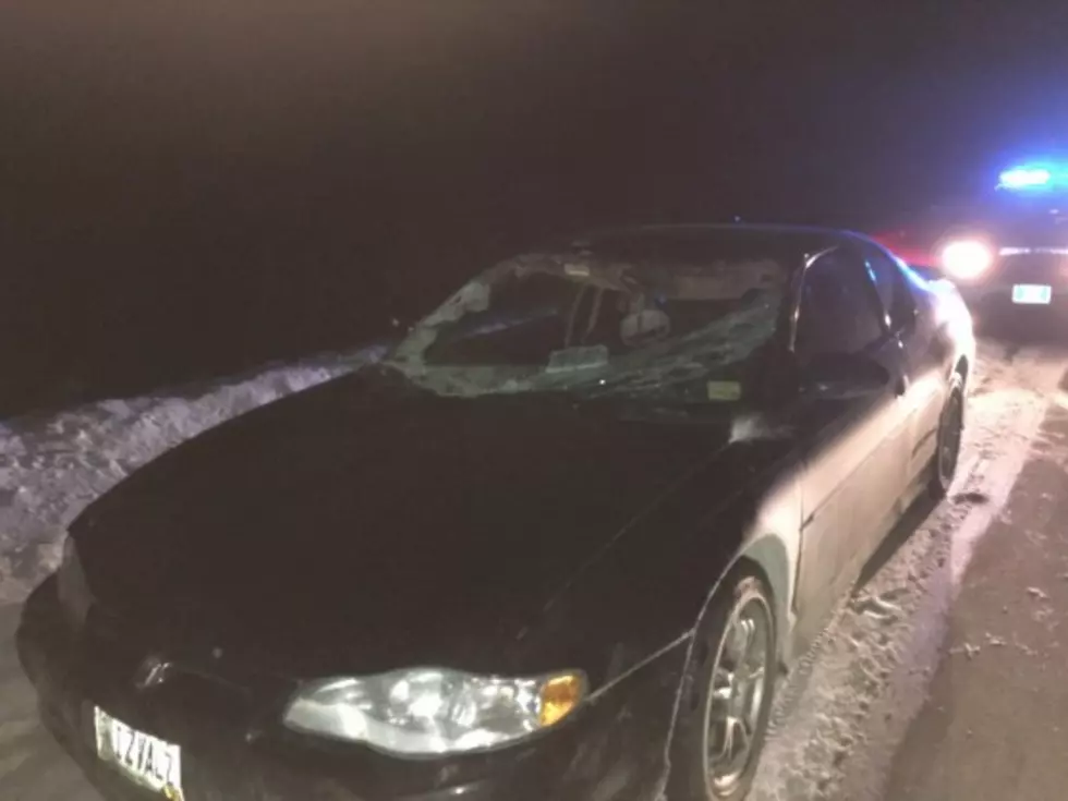 Car Totaled After Collision With Moose
