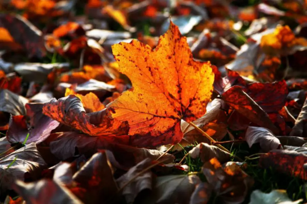 #MaineFoliage Photos from Instagram to Get You Excited For Fall