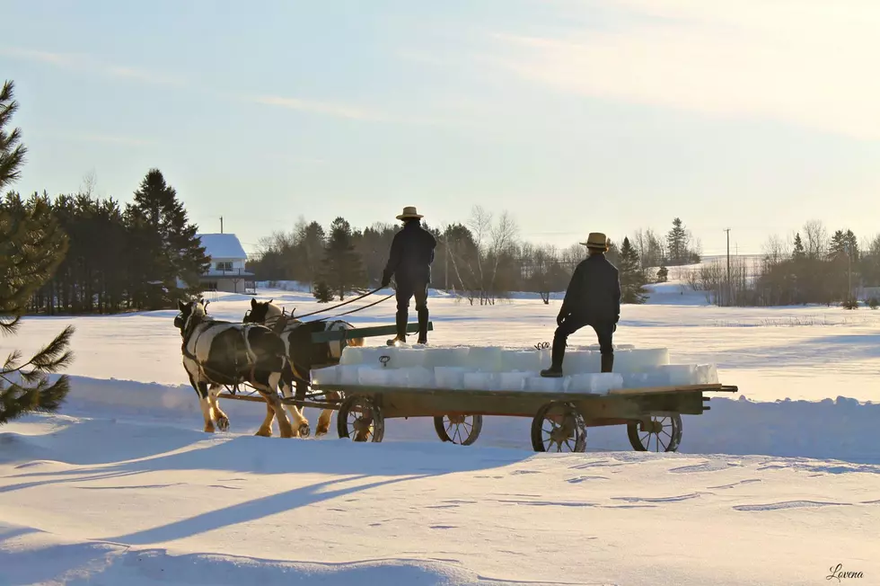 It’s Ice Harvest Time for Amish in Aroostook County [PHOTOS]
