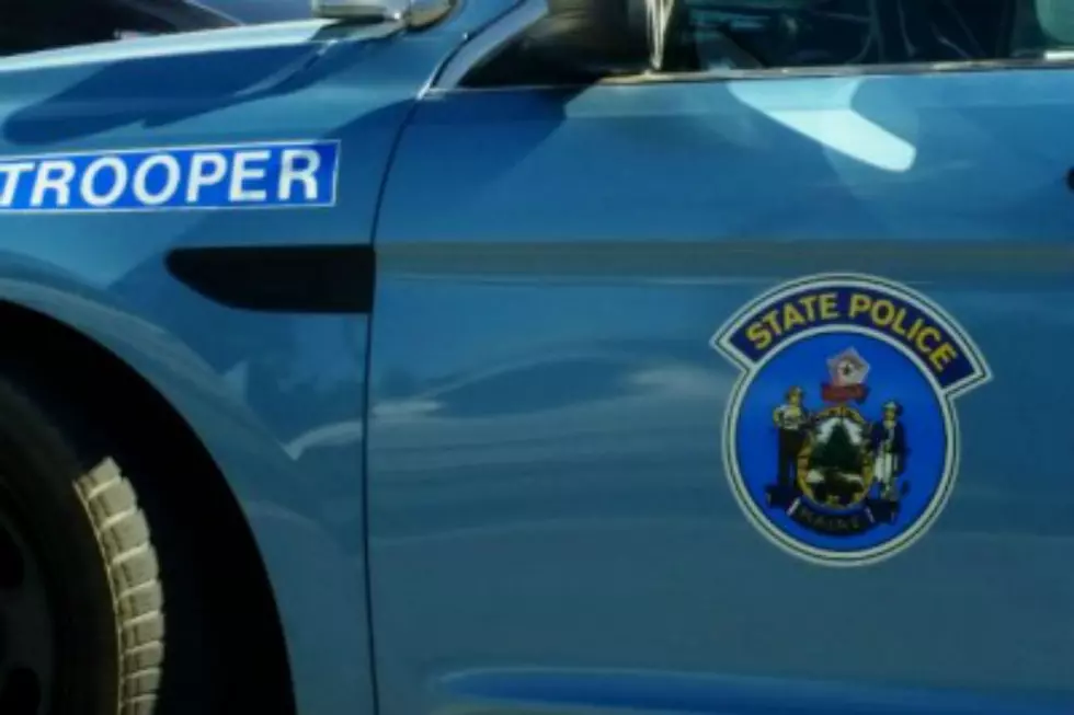 Hunter Finds Human Remains In Blue Hill