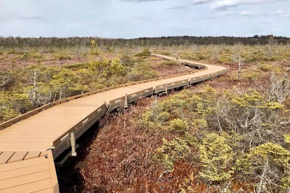 The Rest Of The Orono Bog Boardwalk To Be Completed This Spring