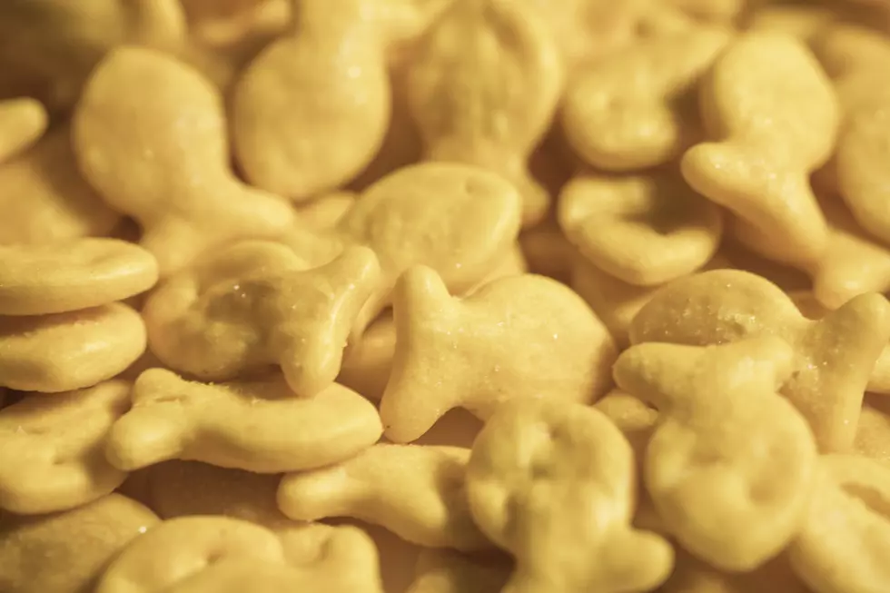 Pepperidge Farm Recalls Four Varieties Of Goldfish Crackers
