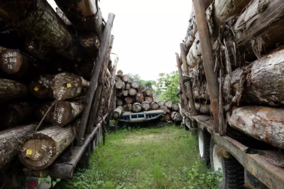 Maine&#8217;s Logging Industry Included in COVID-19 Relief Package