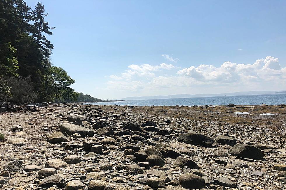 Beat the Heat Hiking Around This Uninhabited Coastal Maine Island
