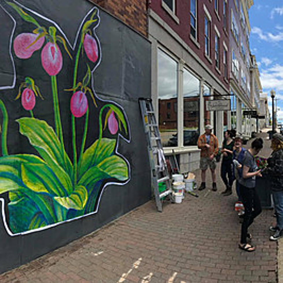 Bangor’s Downtown Murals Are Also Part Of A Scavenger Hunt