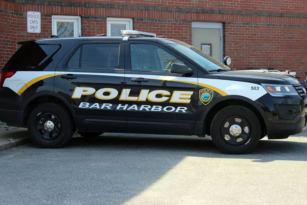 Trenton Woman Dies after Being Struck by a Car in Bar Harbor