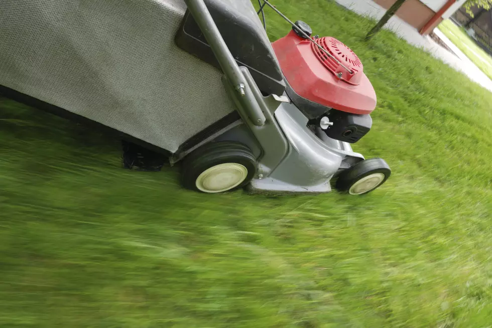 Should A Town Be Able To Tell You To Mow Your Lawn?