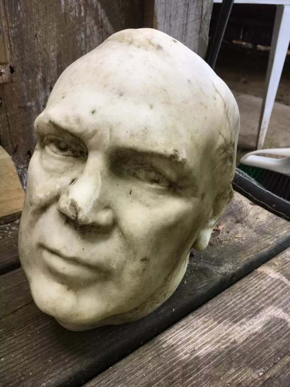 A Head Was Discovered In Brownfield! Well, A Marble Head.
