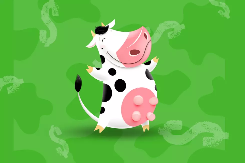 CASH COW: Your Chance at $5,000 and the Best Holidays Ever Is Here