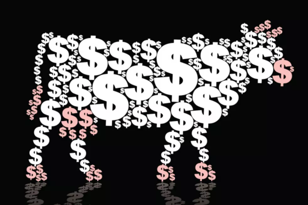 CASH COW: The ‘New Normal’ Is Here with 10 Chances to Win Cash – Up to $10,000 Right Now