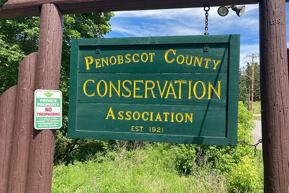 Penobscot Co Conservation Family Fun Day